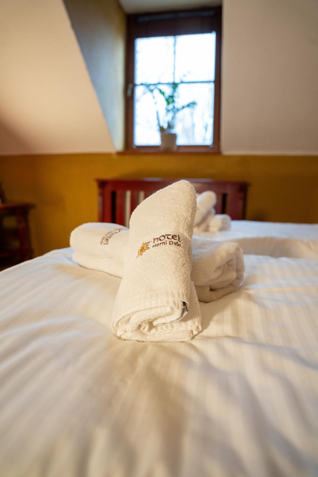 Hotel Horni Dvur โนเวมิสโต นา โมราเวีย ภายนอก รูปภาพ